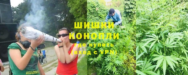 ГАЛЛЮЦИНОГЕННЫЕ ГРИБЫ Аркадак