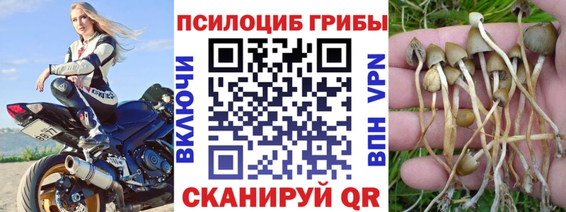 МЕГА tor  Петухово  Галлюциногенные грибы прущие грибы 